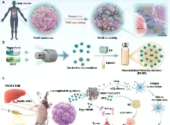 基于纳米药物的新型“T+A”栓塞乳剂靶向血管生成-免疫耐受轴，破解肝癌TACE治疗抵抗